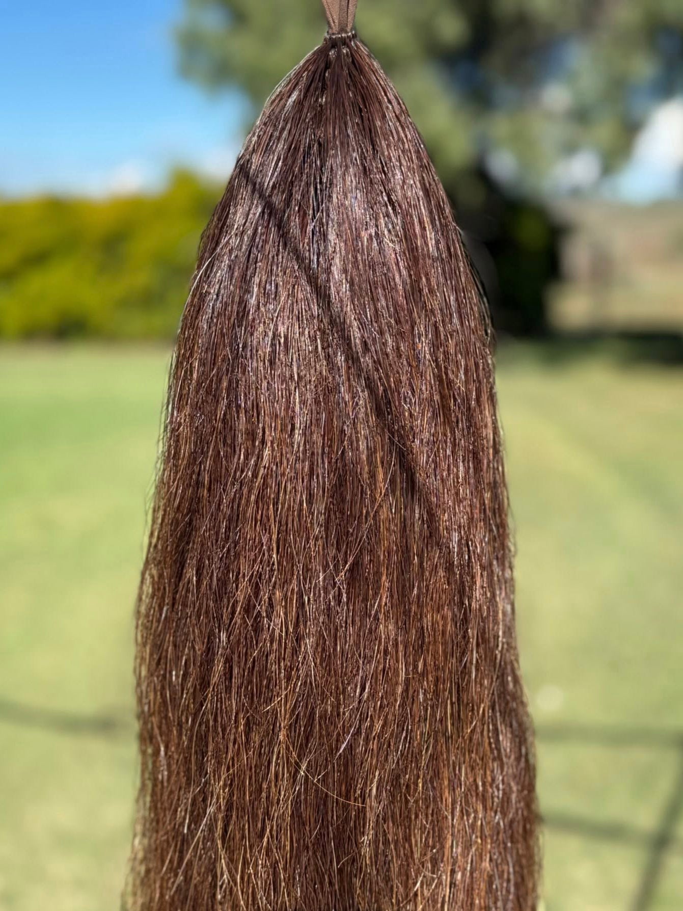 A8 Chestnut 75cm