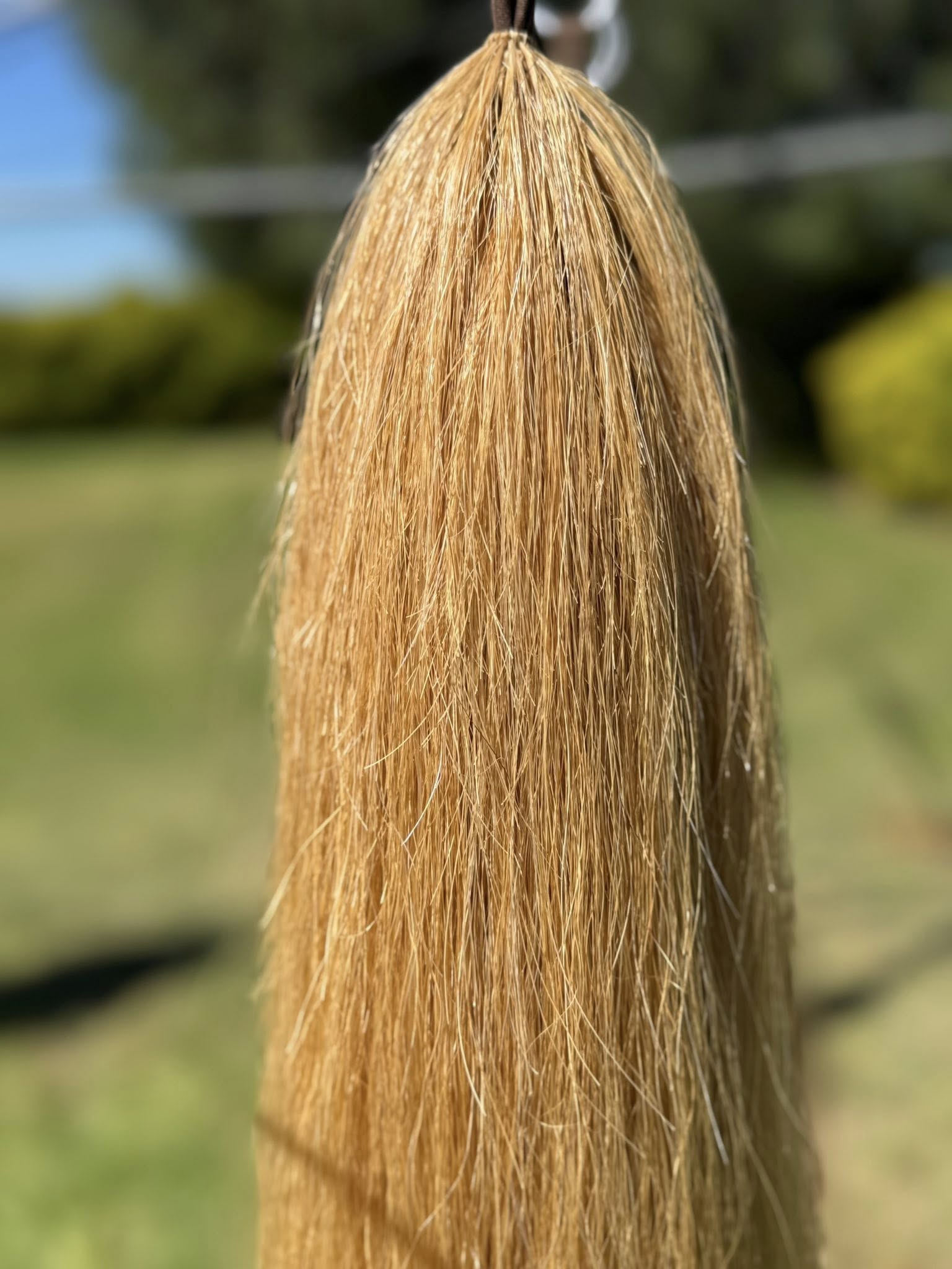 A16 Flaxen 75cm
