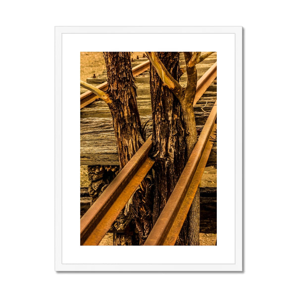 Where there is a will  Framed & Mounted Print