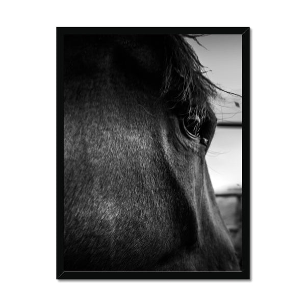 Through the eyes of Lenny  Framed Print