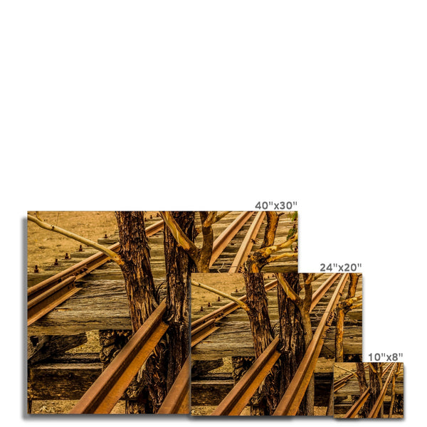 Where there is a will  Canvas
