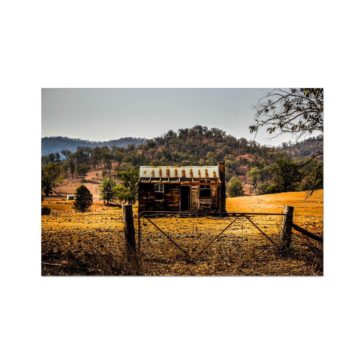 Old Hut Fine Art Print