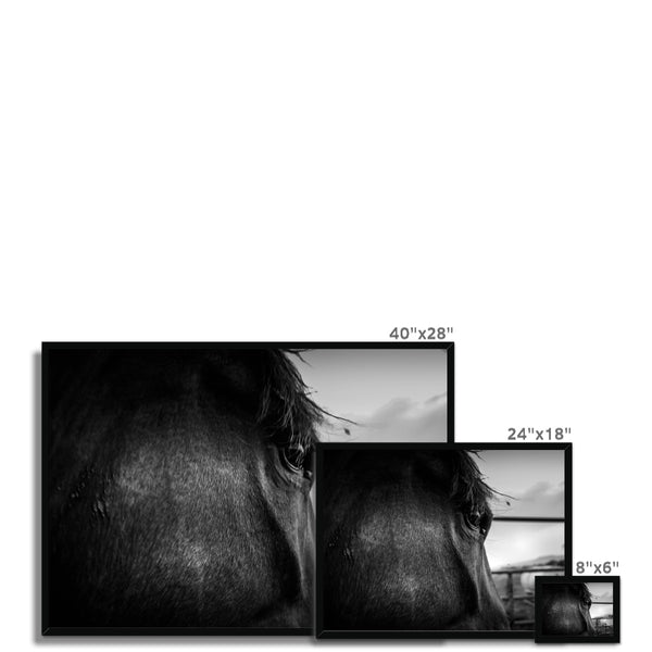 Through the eyes of Lenny  Framed Print