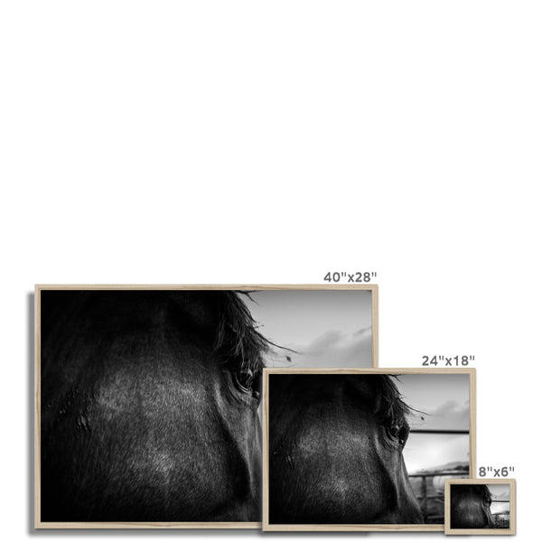 Through the eyes of Lenny  Framed Print