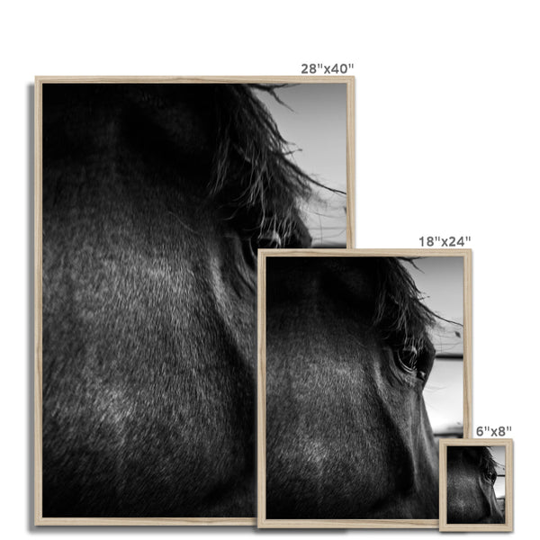 Through the eyes of Lenny  Framed Print