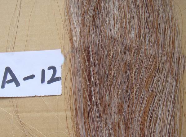 A12 White, chestnut & light chestnut 75cm