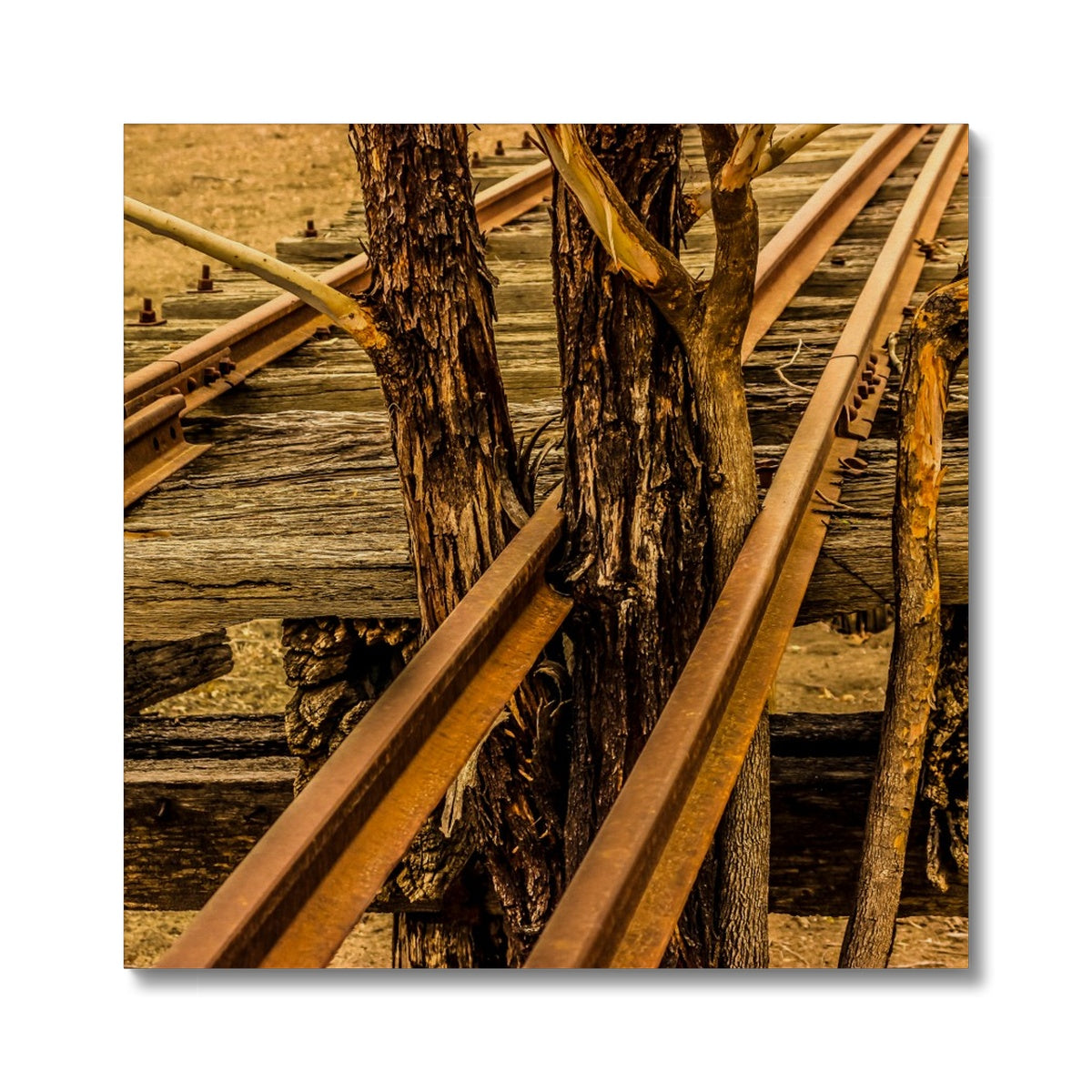 Where there is a will  Canvas