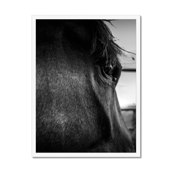 Through the eyes of Lenny  Framed Print