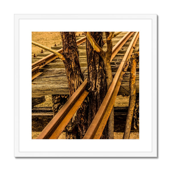 Where there is a will  Framed & Mounted Print