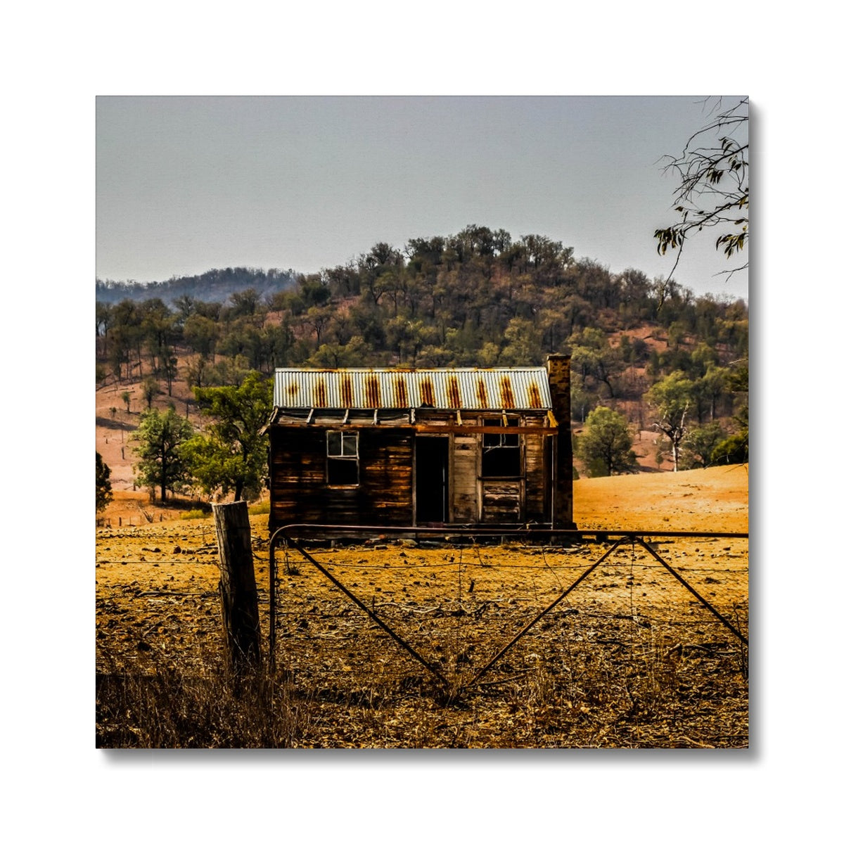 Old Hut Canvas